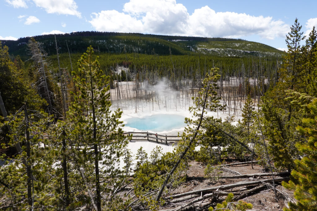 Norris Geyser Basin...